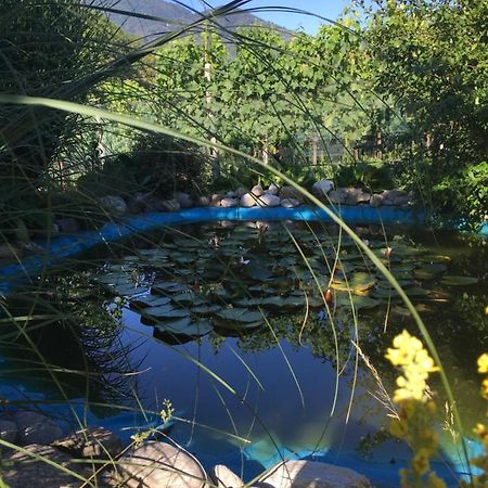 인트라냐 Casa In Koenigs Garten 아파트 외부 사진